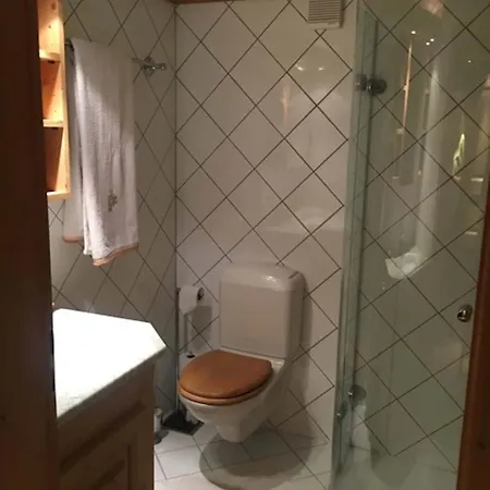 Exclusive Charming 4 Bedroom Near Gstaad *