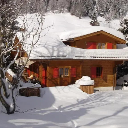 빌라 Exclusive Charming 4 Bedroom Near Gstaad 라우에넨